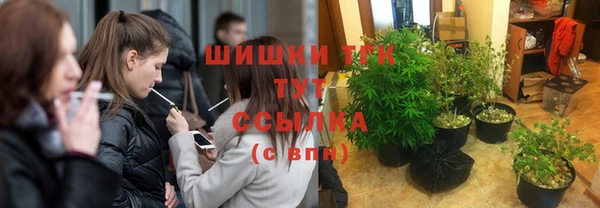 Альфа ПВП Козельск