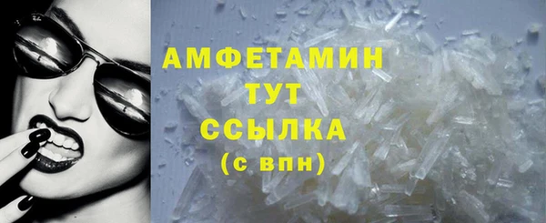 стаф Козловка