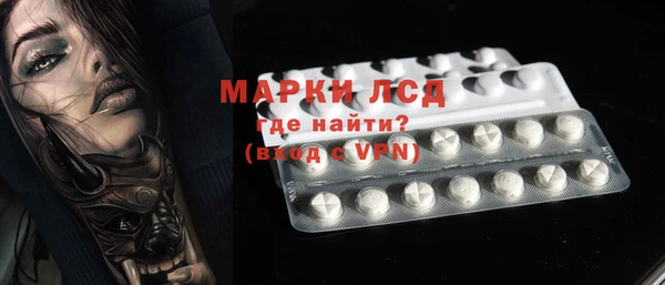 стаф Козловка