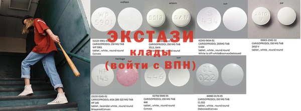 стаф Козловка
