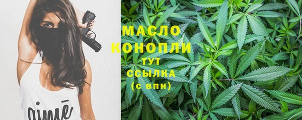 стаф Козловка
