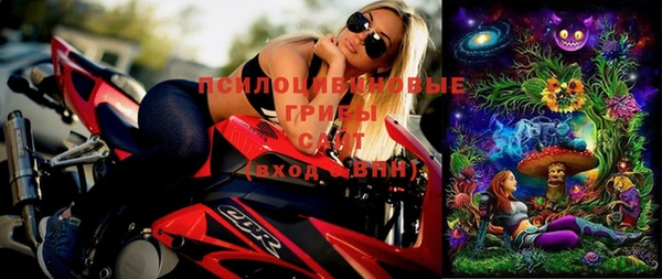 стаф Козловка