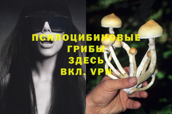 синтетический гашиш Кодинск