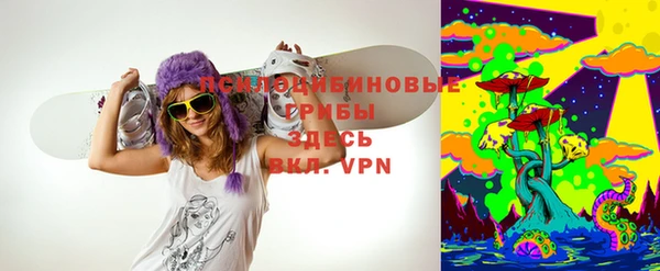 стаф Козловка