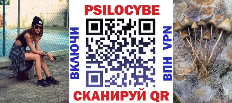 Галлюциногенные грибы Psilocybine cubensis  Купить где  Чебаркуль 